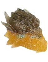 Orgonite Draken Schedel Geel-Groen - thumbnail