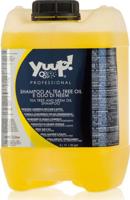 Tea Tree and Neem Shampoo 5 ltr - thumbnail