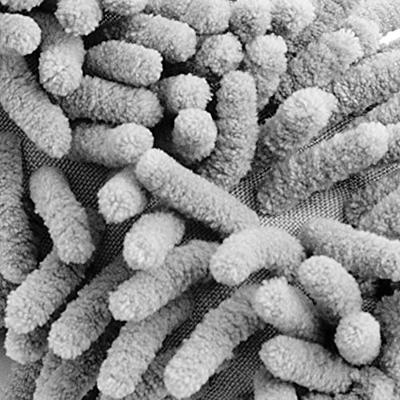 Velgenborstel Grijs Microvezel 34cm , set van 2 stuks Velgenborstel Grijs Microvezel 34cm , set van 2 stuks