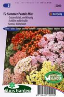 Duizendblad zaden Summer Pastels F2 mix (Achillea) - thumbnail