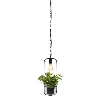 its about RoMi Hanglamp 'Florence' Met planthouder, kleur Zwart