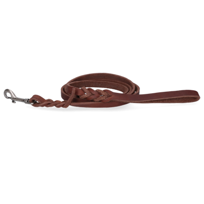 Spotted! Pro Lederen showlijn 180 x 1,6 cm - met musketgesp - hondenriem - hondenshow-lijn - gelooid leer - bruin