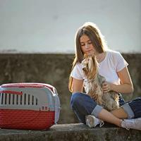 Bama pet transportbox 59x38x37 cm rood/zilver - thumbnail