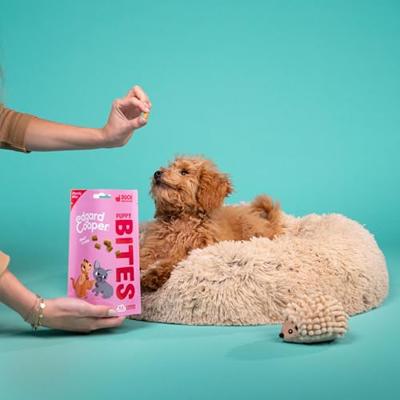 Bite puppy s duck&chicken 50g - Edgard en cooper - thumbnail