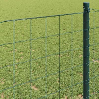 Euro Hek Groen 1.2 x 25 m PVC-gecoat ijzer