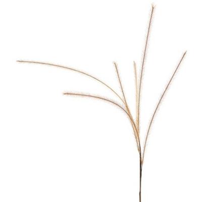 Countryfield kunsttak met 6 pluimen lichtbruin 112 cm | 24 stuks