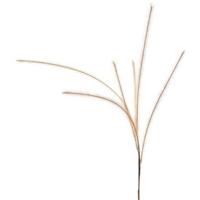 Countryfield kunsttak met 6 pluimen lichtbruin 112 cm | 24 stuks - thumbnail