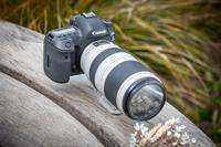 Canon EF 100-400mm F/4.5-5.6 L IS USM II (draaizoom) + ET-83D zonnekap - thumbnail