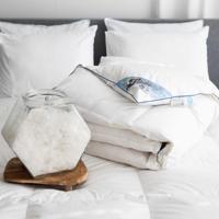 Fabiola - Zwaar Dons Winter Dekbed - 240x200cm - thumbnail