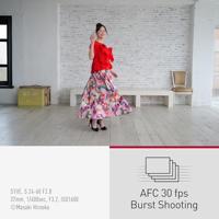 Panasonic Lumix DC-S1 Mark II E + Lumix S 24-105mm F/4.0 Macro OIS - thumbnail