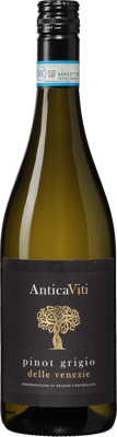Antica Viti Pinot Grigio delle Venezie Antica Viti Pinot Grigio delle Venezie