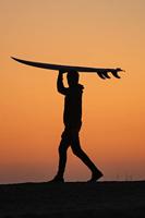 Nikon NIKKOR Z 400mm F/4.5 VR S - thumbnail