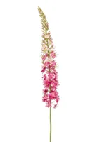 Emerald kunsttak eremurus 130cm roze - thumbnail