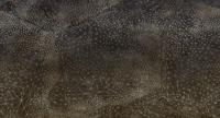 Muance Muance Fotobehang Ad astra - MU12013 - thumbnail