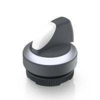 RAFI 1.30.272.302/2200 RAFIX 22 FS+ Verlichte druktoets 2 x 60 ° 1 stuk(s) - thumbnail