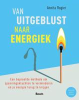 Van uitgeblust naar energiek - Annita Rogier - ebook - thumbnail