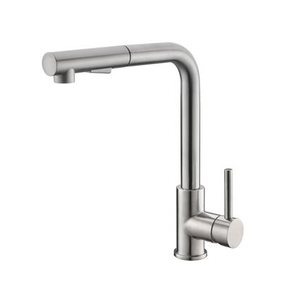 BWS Keukenkraan Reno met Uittrekbare Handdouche RVS