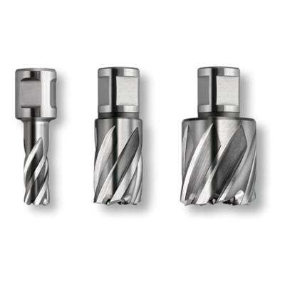 Fein 63134143301 Kernboor 1 stuk(s)