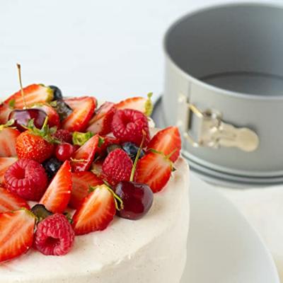 Patisse silver-top springvorm 22x9 cm