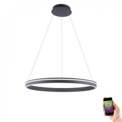 Paul Neuhaus Smart hanglampQ-Vito Ø 80cm - 8412-13