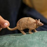 Schleich wild life armadillo gordeldier 14874 - thumbnail