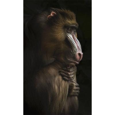 Wanddecoratie Faces 014 70x118cm