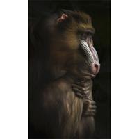 Wanddecoratie Faces 014 70x118cm - thumbnail