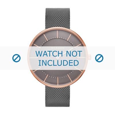 Skagen horlogeband SKW2584 Staal Grijs 16mm