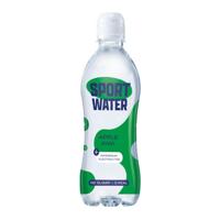 Sportwater - Apple Kiwi PET - 12x 0,5ltr - thumbnail