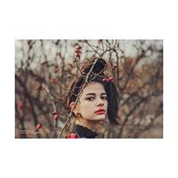 Lensbaby Velvet 85 zwart Sony E - thumbnail