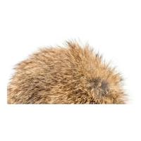 Kattenwand Gloria Rogers Pompon (12 cm) - thumbnail