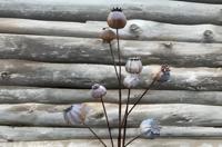 Bruine bollen Buitengewoon de Boet - Buitengewoon de boet - thumbnail