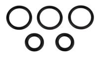 Kirchhoff O-ring, 17 x 22 x 2,5/10 x 16 x 3 mm, voor GROHE-Euromix-patroon (5x) - 98696930 - thumbnail