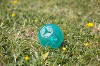 BIOSAFE PUPPY SNACK BAL BLAUW - thumbnail