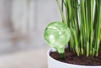 Elho aqua care lime - thumbnail