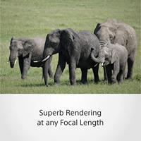 Sony E 70-350mm F/4.5-6.3 G OSS - thumbnail