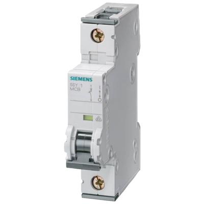 Siemens 5SY71027 5SY7102-7 Zekeringautomaat 2 A 230 V, 400 V Siemens 5SY71027 5SY7102-7 Zekeringautomaat 2 A 230 V, 400 V
