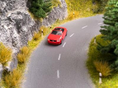 NOCH 60829 Verfroller 1 stuk(s)