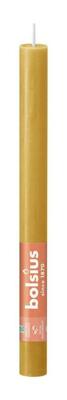 Bolsius Dinerkaars Rustiek Honeycomb Geel 27 Cm Bolsius Dinerkaars Rustiek Honeycomb Geel 27 Cm