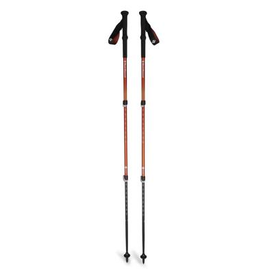 Wandelstokken Black Diamond Trail Back burnt sienna