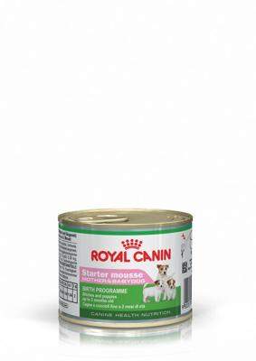 Royal Canin Starter Mousse 12 x 195 gr