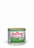 Royal Canin Starter Mousse 12 x 195 gr - thumbnail