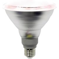 LightMe LED-plantenlamp LM85322-2 132 mm 230 V, 220 V, 240 V E27 15 W Reflector 1 stuk(s) - thumbnail