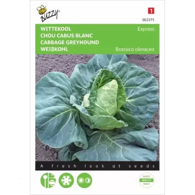 Witte kool Express