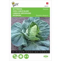 Witte kool Express - thumbnail