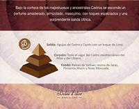 Boles d&apos;olor brumas de ambiente geurolie cédre 50 ml - thumbnail