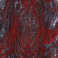 The Prime Same - CD (4059251378228) - thumbnail