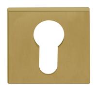 Formani BSQY53 BASICS cilinderplaatje pvd mat goud - thumbnail