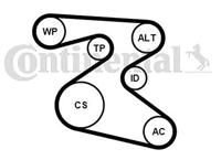 Multiriem set 6PK1873K1 - thumbnail