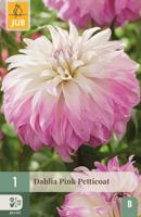 Dahlia pink petticoat - thumbnail